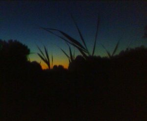 37286c59e4-Peep_of_day-kopie